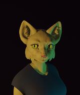 3D artist:Raywingale character:Katia_Managan portrait yellow_eyes