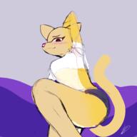 Khajiit artist:Forrest18 beautiful blushing casually_underdressed character:Katia_Managan modern_clothing