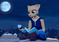 3D Katia's_Thief_Tunic Khajiit artist:PIRAMATRONIC_GAMING books character:Katia_Managan character:Kvatch_Rock knock_off night outskirts_of_Kvatch skill_book