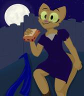 Katia's_Thief_Tunic artist:TempIntel character:Katia_Managan character:Kvatch_Rock food masser night sandwich